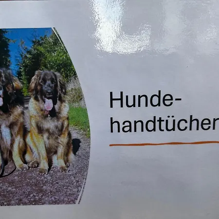 Guidos Place Souterrain 아파트 Weissenthurm